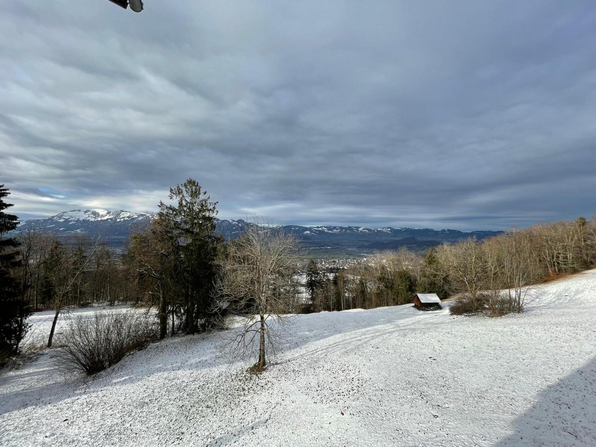 Gemuetliche Wohnung Mit Talblick Batschuns Kültér fotó