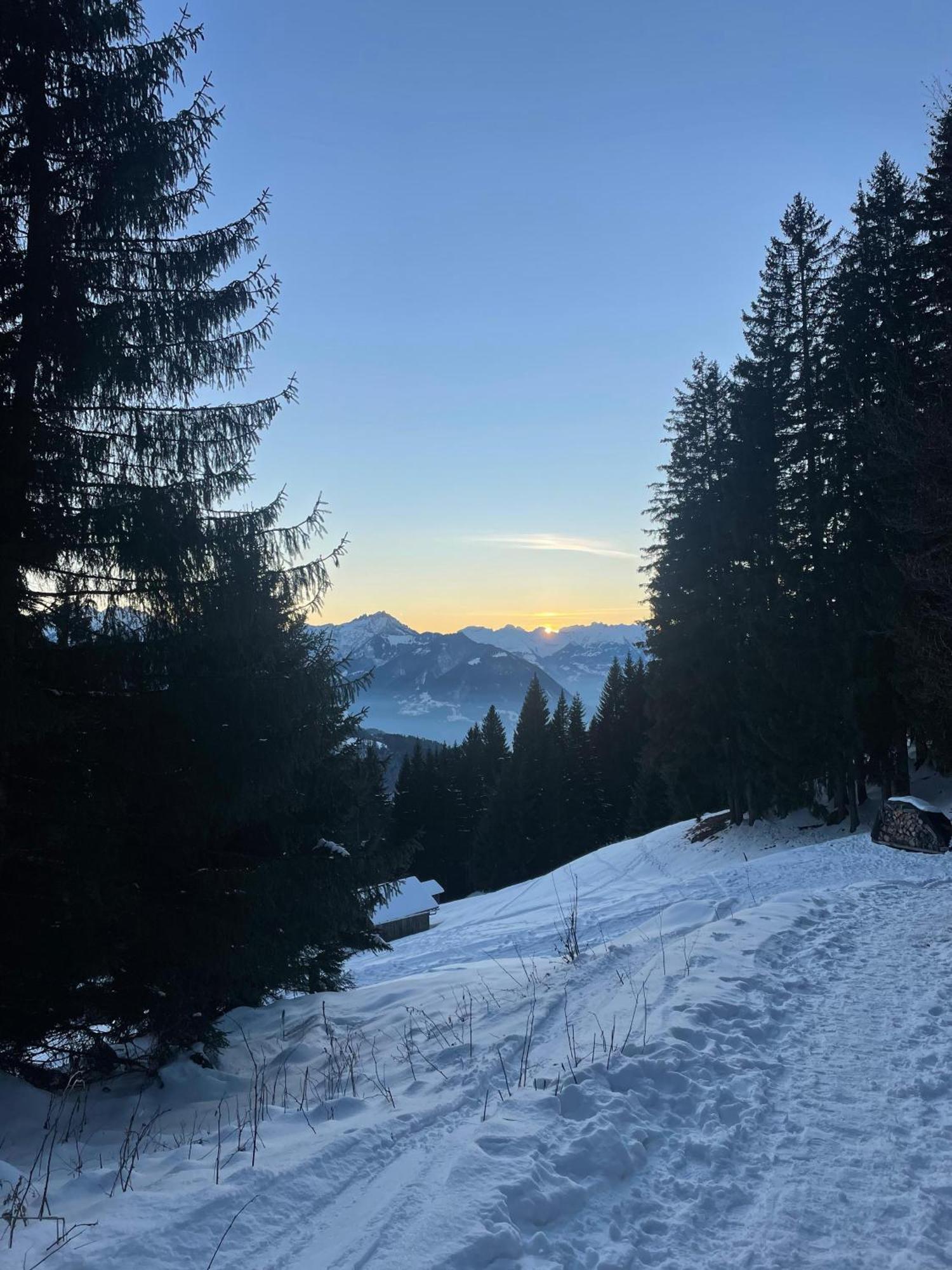 Gemuetliche Wohnung Mit Talblick Batschuns Kültér fotó