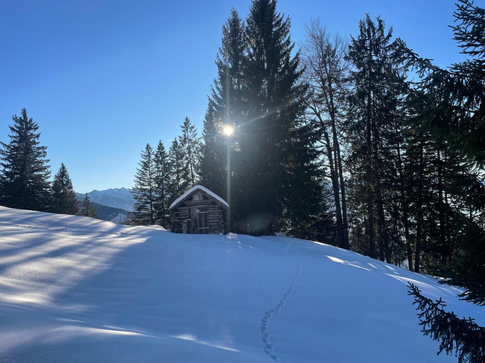 Gemuetliche Wohnung Mit Talblick Batschuns Kültér fotó